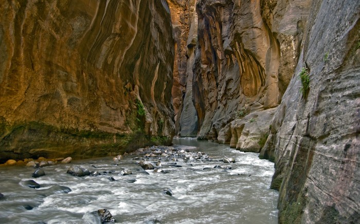nature (18).jpg (1 MB)